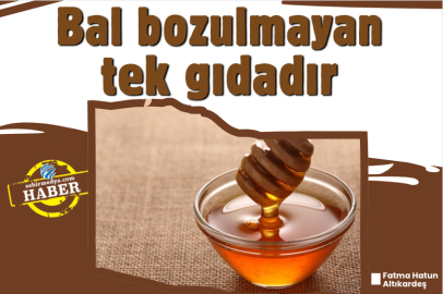 Bal bozulmayan tek gıdadır