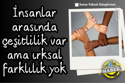 İnsanlar arasında çeşitlilik var ama ırksal farklılık yok