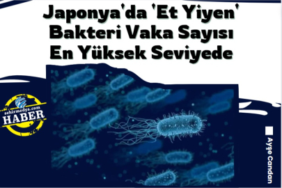 Japonya'da 'Et Yiyen' Bakteri Vaka Sayısı En Yüksek Seviyede