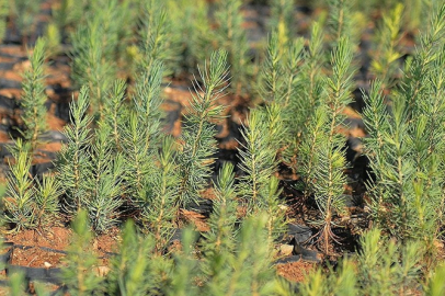 Türkiye, dost ve kardeş ülke Azerbaycan'ın da "geleceğine nefes" oluyor