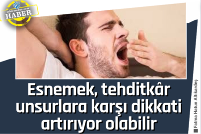 Esnemek, tehditkâr unsurlara karşı dikkati artırıyor olabilir