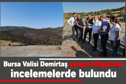 Bursa Valisi Demirtaş, yangın bölgesinde incelemelerde bulundu