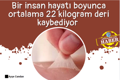 Bir insan hayatı boyunca ortalama 22 kilogram deri kaybediyor 