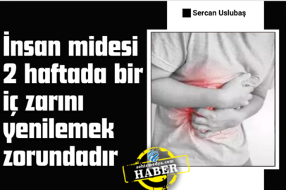 İnsan midesi 2 haftada bir iç zarını yenilemek zorundadır 