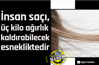İnsan saçı, üç kilo ağırlık kaldırabilecek esnekliktedir