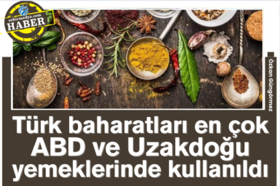 Türk baharatları en çok ABD ve Uzakdoğu yemeklerinde kullanıldı