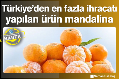 Türkiye’den en fazla ihracatı yapılan ürün mandalina