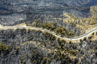 İklim krizi yangın rejimini değiştirirken orman yangınları ısınmayı artırıyor