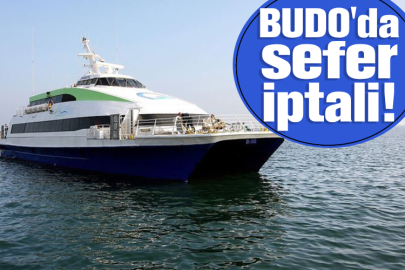Bursa Deniz Otobüslerinin bazı seferleri iptal edildi