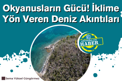 Okyanusların Gücü! İklime Yön Veren Deniz Akıntıları