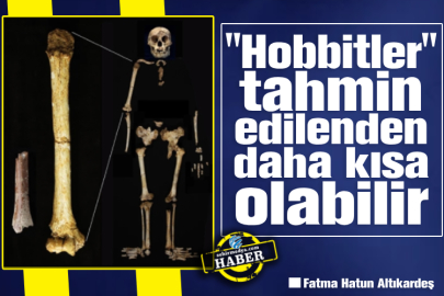 "Hobbitler" tahmin edilenden daha kısa olabilir