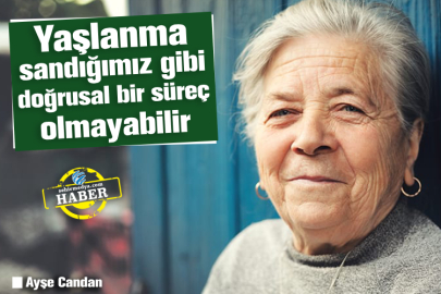 Yaşlanma sandığımız gibi doğrusal bir süreç olmayabilir