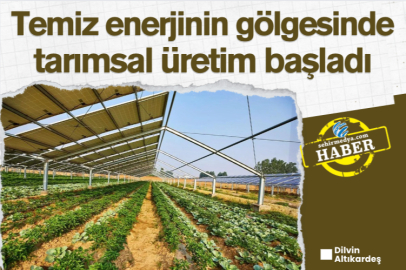 Temiz enerjinin gölgesinde tarımsal üretim başladı