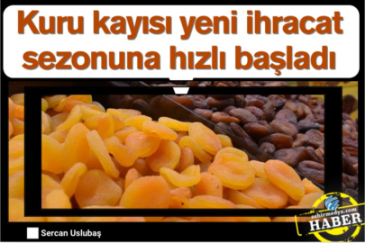 Kuru kayısı yeni ihracat sezonuna hızlı başladı