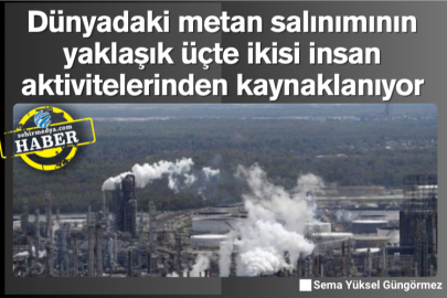 Dünyadaki metan salınımının yaklaşık üçte ikisi insan aktivitelerinden kaynaklanıyor