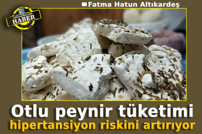 Otlu peynir tüketimi hipertansiyon riskini artırıyor