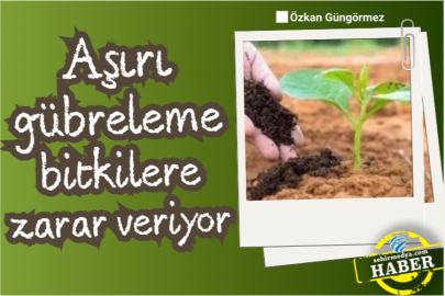 Aşırı gübreleme bitkilere zarar veriyor