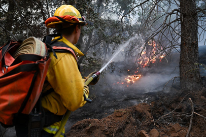 ABD'nin California eyaletindeki yangınlarda 1 milyon dönümden fazla alan kül oldu