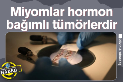 Miyomlar hormon bağımlı tümörlerdir