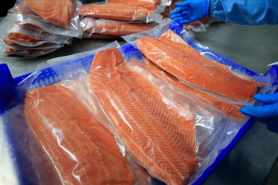 Türk somonu ihracatı 9 ayda 351,3 milyon doları aştı