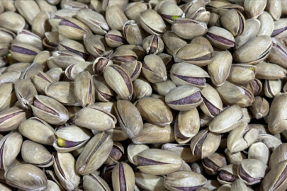 Türkiye'nin 9 aylık fıstık ihracatı 150 milyon dolara yaklaştı