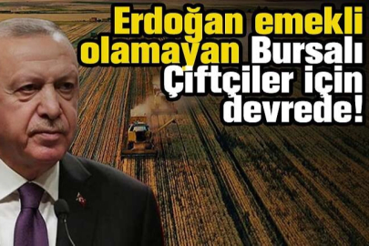 Cumhurbaşkanı Erdoğan emekli olamayan Bursalı Çiftçiler için devrede!