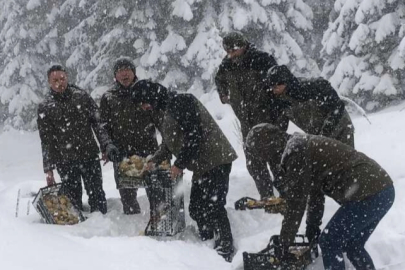 Uludağ Milli Parkı’nda yaban hayvanları unutulmadı