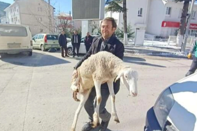 Bursalı çobanlar deprem bölgesine 40 koyun bağışladı