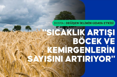 İklim değişikliği gıda güvenliğinde risklere neden oluyor