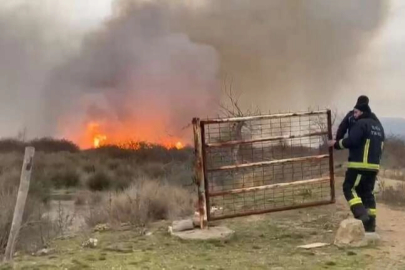 İznik Gölü'nde sazlık alanda korkutan yangın