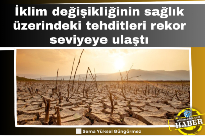 İklim değişikliğinin sağlık üzerindeki tehditleri rekor seviyeye ulaştı