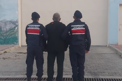 Ağaç kestiği için hapis cezasıyla aranan şahsı jandarma yakaladı