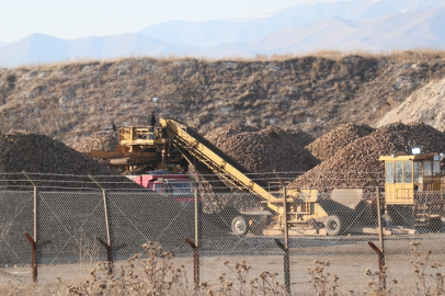 Erzurum'da şeker pancarının ekim alanı 5 yılda yüzde 35 arttı