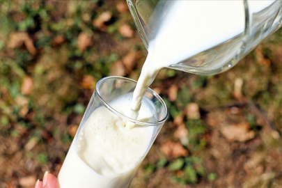 Çiğ süt primi yılın son 3 ayı için litre başına 1 lira olarak uygulanacak