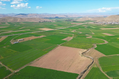 Gelecek yıl 456 bin hektarda arazi toplulaştırma çalışması başlatılacak