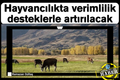 Hayvancılıkta verimlilik desteklerle artırılacak
