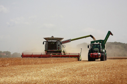 OECD: Tarım sektörü çok sayıda zorlukla karşı karşıya