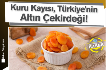 Kuru Kayısı, Türkiye'nin Altın Çekirdeği!