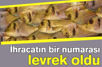 İhracatın bir numarası levrek oldu