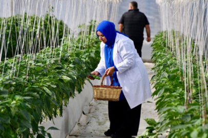 Organik ve iyi tarım uygulamalarına sağlanan destek 11 milyar lirayı buldu