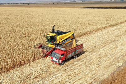 Tarım ÜFE ekimde aylık bazda yüzde 5,03 arttı