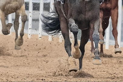 TJK Başkanı Serdal Adalı, atçılıkta "VAR" sisteminin uygulanacağını açıkladı