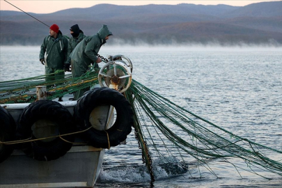 FAO Akdeniz Genel Balıkçılık Komisyonu, Türkiye'ye 4'üncü kez "Tam Uyum Ödülü" verdi
