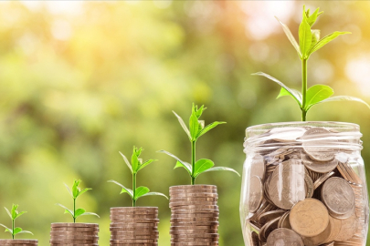 Türkiye'deki bankaların "iklim karnesi" açıklandı