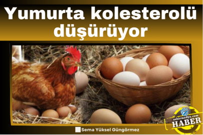 Yumurta kolesterolü düşürüyor