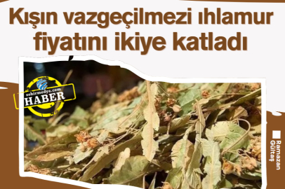 Kışın vazgeçilmezi ıhlamur fiyatını ikiye katladı