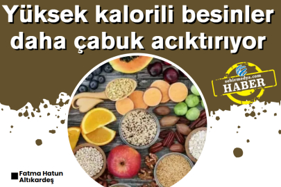 Yüksek kalorili besinler daha çabuk acıktırıyor