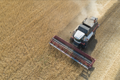 Rusya, Batılı ülkelere yönelik gıda yaptırımını uzattı