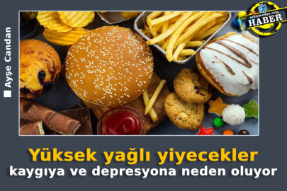 Yüksek yağlı yiyecekler kaygıya neden oluyor