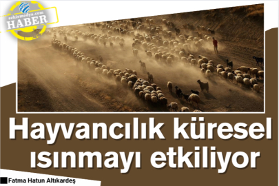 Hayvancılık küresel ısınmayı etkiliyor